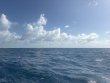 Saturday May 23rd 2026 Tropical Odyssey: Spiegel Grove reef report photo 1