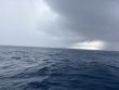 Thursday May 28th 2026 Tropical Odyssey: Spiegel Grove reef report photo 1