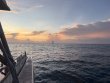 Thursday May 28th 2026 Tropical Odyssey: Nine Channel reef report photo 1