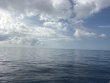 Friday May 29th 2026 Tropical Odyssey: Spiegel Grove reef report photo 1