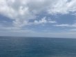 Sunday May 31st 2026 Tropical Odyssey: JJs Cave reef report photo 1