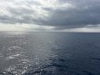Tuesday June 2nd 2026 Tropical Odyssey: Spiegel Grove reef report photo 1