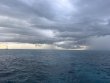 Tuesday June 2nd 2026 Tropical Odyssey: North Star reef report photo 1