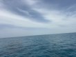 Tuesday June 23rd 2026 Tropical Odyssey: Snapper Ledge reef report photo 1