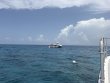 Friday June 26th 2026 Tropical Odyssey: Coral Canyons reef report photo 1
