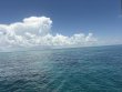 Tuesday June 30th 2026 Tropical Odyssey: Christ Statue reef report photo 1