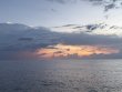 Tuesday June 30th 2026 Tropical Odyssey: Eagle Ray Alley reef report photo 1