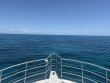 Saturday July 4th 2026 Tropical Odyssey: City of Washington reef report photo 1