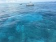 Sunday July 5th 2026 Tropical Odyssey: JJs Cave reef report photo 1