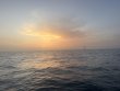 Tuesday July 7th 2026 Tropical Odyssey: Nine Channel reef report photo 1