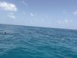 Monday July 13th 2026 Tropical Odyssey: Sand Bottom Cave reef report photo 1