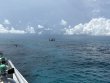 Saturday July 25th 2026 Tropical Odyssey: City of Washington reef report photo 1