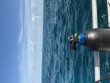 Wednesday July 29th 2026 Tropical Odyssey: Eagle Ray Alley reef report photo 1