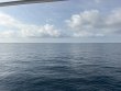 Friday July 31st 2026 Tropical Odyssey: Spiegel Grove reef report photo 1