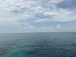 Friday July 31st 2026 Tropical Odyssey: Anchor Chain reef report photo 1