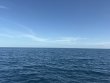 Friday August 7th 2026 Tropical Odyssey: Spiegel Grove reef report photo 1