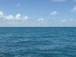 Saturday August 8th 2026 Tropical Odyssey: City of Washington reef report photo 1