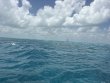 Sunday August 9th 2026 Tropical Odyssey: JJs Cave reef report photo 1