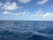 Monday August 10th 2026 Tropical Odyssey: Spiegel Grove reef report photo 1