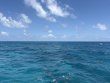 Monday August 10th 2026 Tropical Odyssey: North Star reef report photo 1