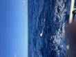 Tuesday August 11th 2026 Tropical Odyssey: Spiegel Grove reef report photo 1