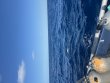 Tuesday August 11th 2026 Tropical Odyssey: Spiegel Grove reef report photo 2