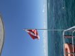Tuesday August 11th 2026 Tropical Odyssey: Christ Statue reef report photo 1