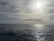 Sunday January 11th 2026 Tropical Serenity: Coral Canyons reef report photo 1