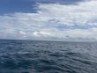 Wednesday January 14th 2026 Tropical Serenity: Benwood Wreck reef report photo 1