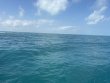 Wednesday February 18th 2026 Tropical Serenity: Christ Statue reef report photo 1