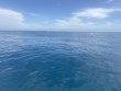 Saturday February 21st 2026 Tropical Serenity: Benwood Wreck reef report photo 1