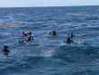 Saturday March 21st 2026 Tropical Serenity: Benwood Wreck reef report photo 1