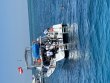 Tuesday March 24th 2026 Tropical Serenity: Eagle Ray Alley reef report photo 2