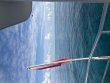 Thursday April 30th 2026 Tropical Serenity: French Reef reef report photo 1