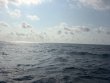 Saturday May 2nd 2026 Tropical Serenity: Nine Channel reef report photo 1
