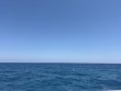 Saturday May 2nd 2026 Tropical Serenity: Benwood Wreck reef report photo 1