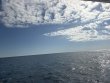 Friday May 15th 2026 Tropical Serenity: Benwood Wreck reef report photo 1