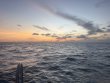 Saturday May 16th 2026 Tropical Serenity: Benwood Wreck reef report photo 1