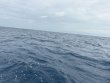 Friday June 5th 2026 Tropical Serenity: Spiegel Grove reef report photo 1