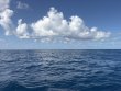 Sunday June 7th 2026 Tropical Serenity: USCGC Duane reef report photo 1