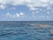 Sunday June 7th 2026 Tropical Serenity: JJs Cave reef report photo 1