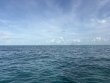 Tuesday June 9th 2026 Tropical Serenity: Eagle Ray Alley reef report photo 1