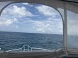 Tuesday June 9th 2026 Tropical Serenity: Benwood Wreck reef report photo 1