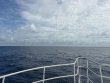 Friday June 12th 2026 Tropical Serenity: Spiegel Grove reef report photo 1