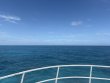 Friday June 12th 2026 Tropical Serenity: Elbow Reef reef report photo 1