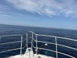 Saturday June 13th 2026 Tropical Serenity: Spiegel Grove reef report photo 1