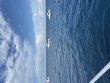 Tuesday July 28th 2026 Tropical Serenity: Spiegel Grove reef report photo 1