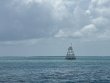 Saturday August 1st 2026 Tropical Serenity: North Star reef report photo 1