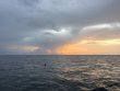 Monday August 3rd 2026 Tropical Serenity: CRF Nursery reef report photo 2