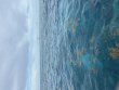 Wednesday August 5th 2026 Tropical Serenity: North Star reef report photo 1